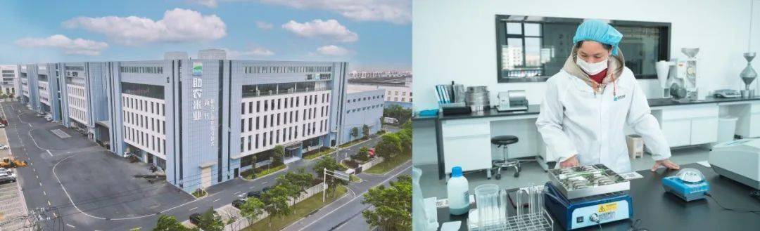 主粮新商机贺四喜大米全国经销商火热招募！