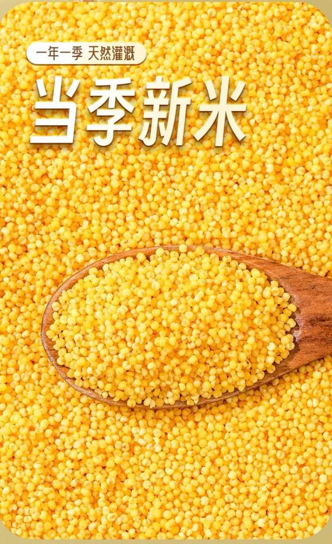 阐释有机小米生产厂哪家合作案例多有机小米哪家好